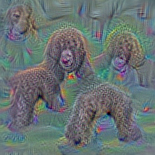 n02102480 Sussex spaniel